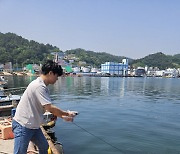 경북 동해연안, 올해 첫 비브리오패혈증균 검출