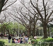 제주 역사문화 사업 위해 36년 된 대규모 공원 '재조정'