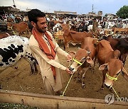 PAKISTAN EID AL ADHA ISLAM BELIEF