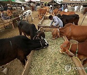 PAKISTAN EID AL ADHA ISLAM BELIEF