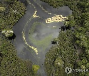 인터넷 연결되자 포르노 중독? 아마존 부족, 가짜뉴스에 '발끈'