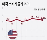 [그래픽] 미국 소비자물가 추이