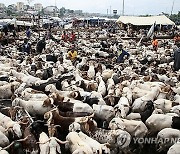 IVORY COAST BELIEF EID AL ADHA