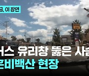 버스 뚫고 들어온 사슴...3명 부상