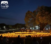 문화체육관광부·한국관광공사 지정 야간관광 특화도시 성주군, 야간 콘텐츠로 지방소멸위기에 정면 승부