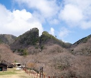 사도광산 강제동원 회피 꼼수쓰다 핵심 지역 날리게 된 日