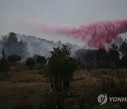 Israel Palestinians Lebanon