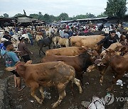 Indonesia Eid al-Adha