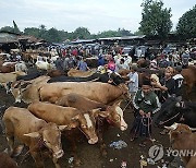 Indonesia Eid al-Adha