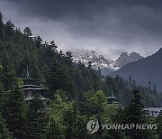 India Kashmir Forest Shrine Photo Gallery