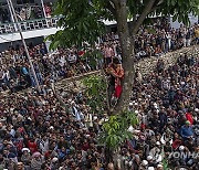 Kashmir Forest Shrine Photo Gallery