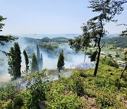 보령 주교면 야산에 불…1시간여 만에 진화