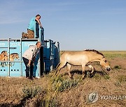 EU PHOTO SET KAZAKHSTAN ANIMALS