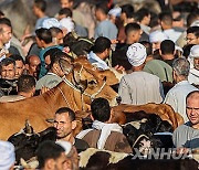 EGYPT-BENI SUEF-EID AL-ADHA-LIVESTOCK MARKET