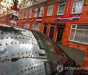 Euro 2024 Soccer Netherlands Orange Street