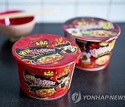 DENMARK KOREAN NOODLES RECALL