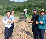 성낙인 창녕군수, 양파 수확 철 맞아 영농 현장 방문