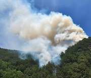 태백 동점동서 산불…진화 헬기 4대 긴급 투입