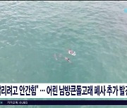 "살리려고 안간힘"...어린 남방큰돌고래 폐사 추가  발견