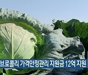 양배추·브로콜리 가격안정관리 지원금 12억 지원