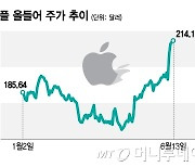 애플, 시총 1위 회복했지만…결국 최종 승자는 엔비디아?[오미주]