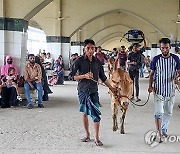 BANGLADESH EID AL ADHA ISLAM BELIEF