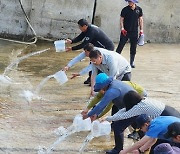 옹진군 수산종자연구소, 어린 감성돔 30만미 방류