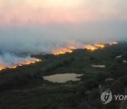 악어·원숭이 뼈만 남은 채 발견…‘지구의 허파’ 브라질 판타나우 화재 피해 악화