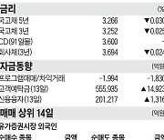 [주식 매매 상위 종목 및 환율] 2024년 6월 14일자