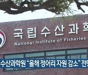 국립수산과학원 “올해 정어리 자원 감소” 전망