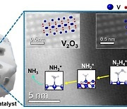 에너지공대 심욱 교수팀 고효율 암모니아 촉매 개발