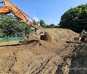 아직 6월인데…과수화상병 잇단 발생에 강원 농가 '긴장'