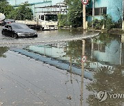 침수된 도로에 갇힌 차량