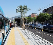 창원 원이대로 S-BRT 개통 이후 시내버스 이용객 증가 추세