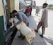 Pakistan Eid al-Adha