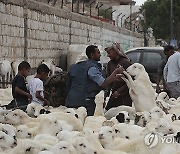 Yemen Eid