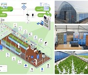 충북 스마트농업 실태조사…스마트팜 정책 방향 모색