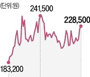 지배구조 개편에 희비 엇갈린 한화그룹株