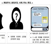 “내가 피터 린치”···글로벌 투자자까지 내세운 불법 리딩방 기승