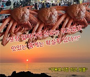 “포항 앞바다에 석유는 모르겠고 이것은 확실히 대박”...캠핑족 사로잡은 홍게 [푸디人]