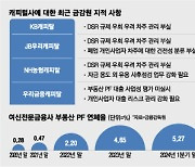 “대충 보고 돈 선뜻 빌려주더니”...캐피털社 ‘묻지마 대출’ 무더기 경고