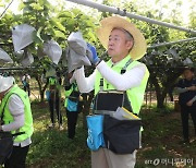 영농현장 달려간 임직원 1만여명…농협중앙회, 전국서 일손 돕기