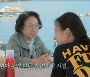 이효리 母, 딸 섹시 콘셉트에 솔직 심정 “쟤 너무 과하다”(여행갈래)