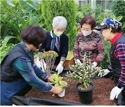 식물 심고 기르며 질환 예방… 인천시, 치유농업 고도화 추진