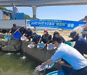 가마우지에 씨 마르는 어족자원…양구서 뱀장어 3만여마리 방류