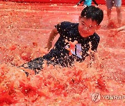 여기가 토마토 천국