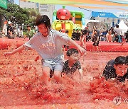 여기가 토마토 천국