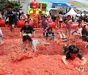 토마토 세상