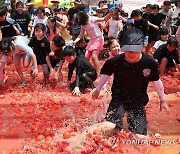 토마토 세상