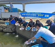 뱀장어 방류하는 양구군